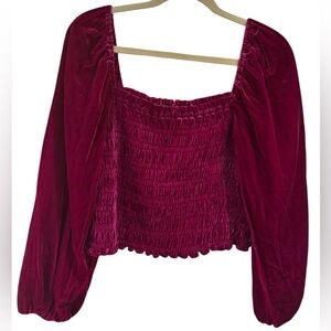 Anthropologie Velvet Smocked Puff-Sleeve Crop Top - Berry